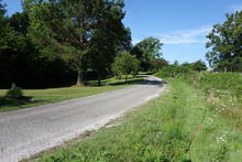 Wooded roads