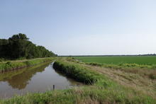Field with an irrigation ditch