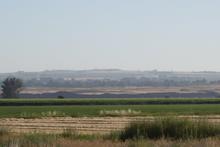 Looking out over cornfields